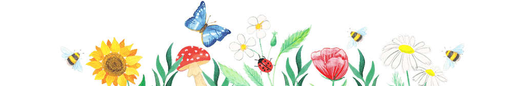 Image of Wild & Free