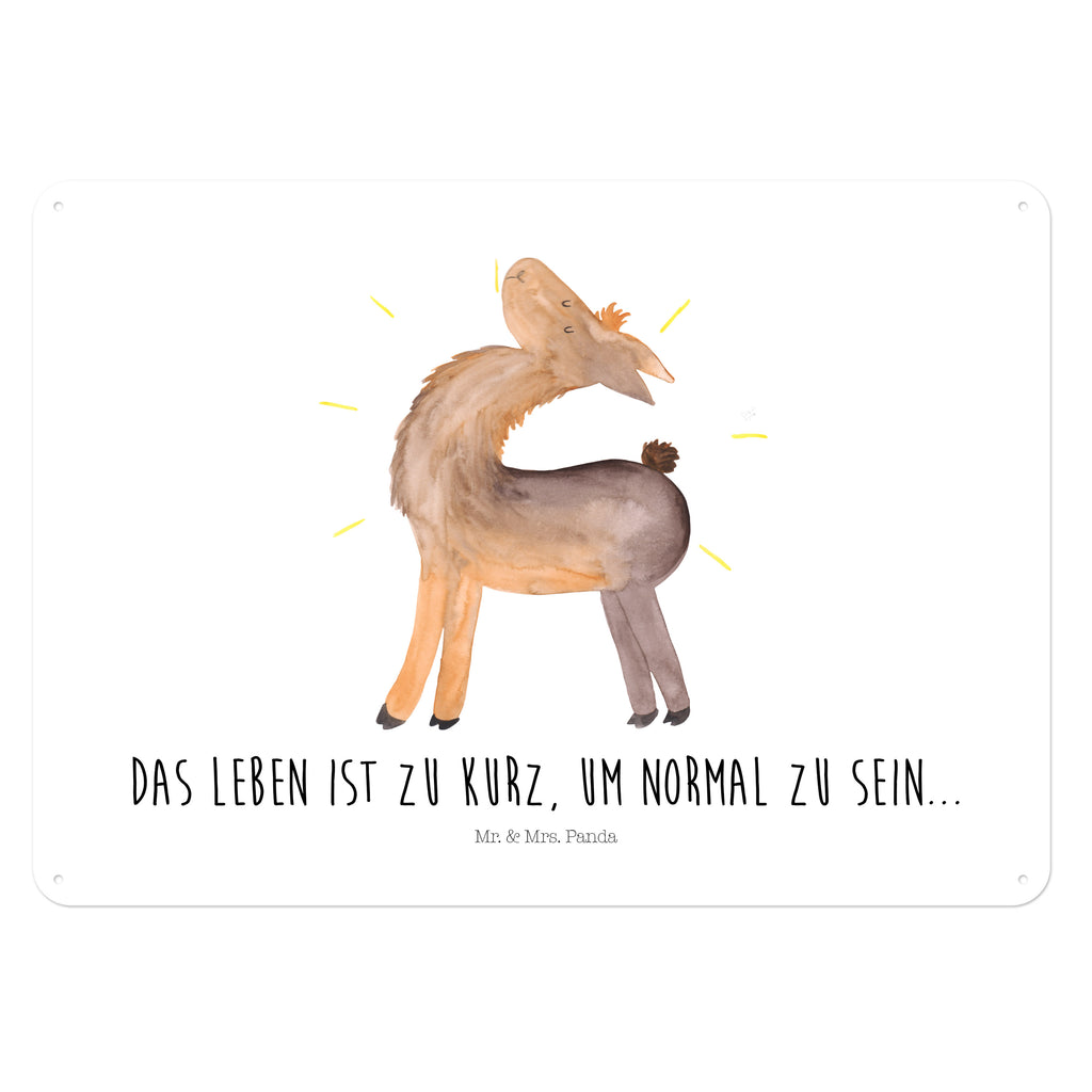 Blechschild Lama stolz Lama, Lamas, Außenseiter, Anders, Neustart, stolz, Hippie, Freundin, Freundinnen, beste Freundin, Kumpel, Familie, Family Blechschild, Metallschild, Geschenk Schild, Schild, Magnet-Metall-Schild, Deko Schild, Wandschild, Wand-Dekoration, Türschild, Wandschild, Metallschild  Lama, Alpaka