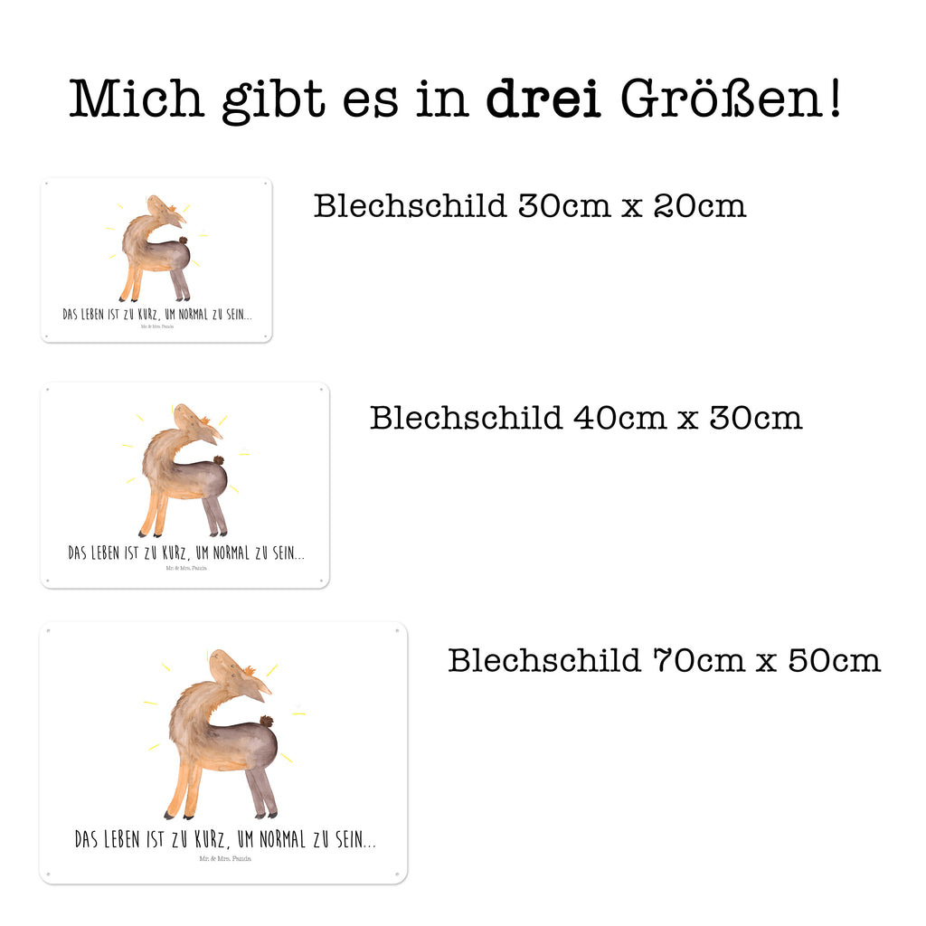 Blechschild Lama stolz Lama, Lamas, Außenseiter, Anders, Neustart, stolz, Hippie, Freundin, Freundinnen, beste Freundin, Kumpel, Familie, Family Blechschild, Metallschild, Geschenk Schild, Schild, Magnet-Metall-Schild, Deko Schild, Wandschild, Wand-Dekoration, Türschild, Wandschild, Metallschild  Lama, Alpaka