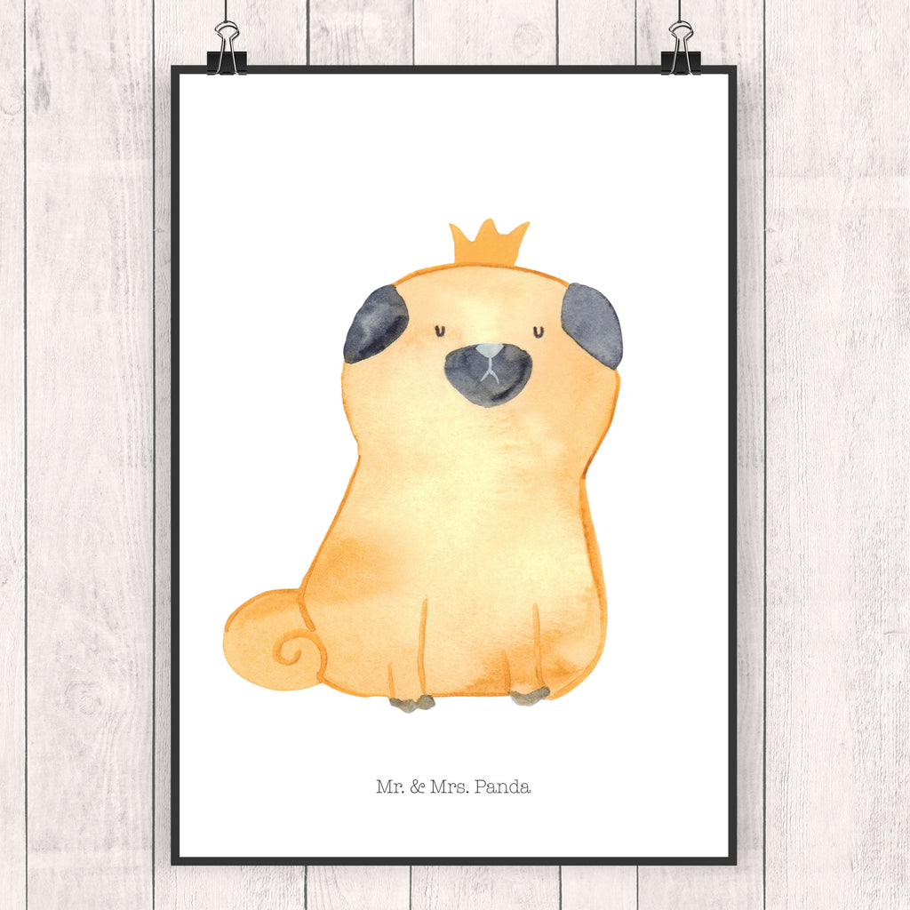 Poster Mops Krone Poster, Wandposter, Bild, Wanddeko, Küchenposter, Kinderposter, Wanddeko Bild, Raumdekoration, Wanddekoration, Handgemaltes Poster, Mr. & Mrs. Panda Poster, Designposter, Kunstdruck, Posterdruck, Hund, Hundemotiv, Haustier, Hunderasse, Tierliebhaber, Hundebesitzer, Sprüche, Mops, allergisch, kinderlos, Hausregel, Hundebesitzer. Spruch, lustig