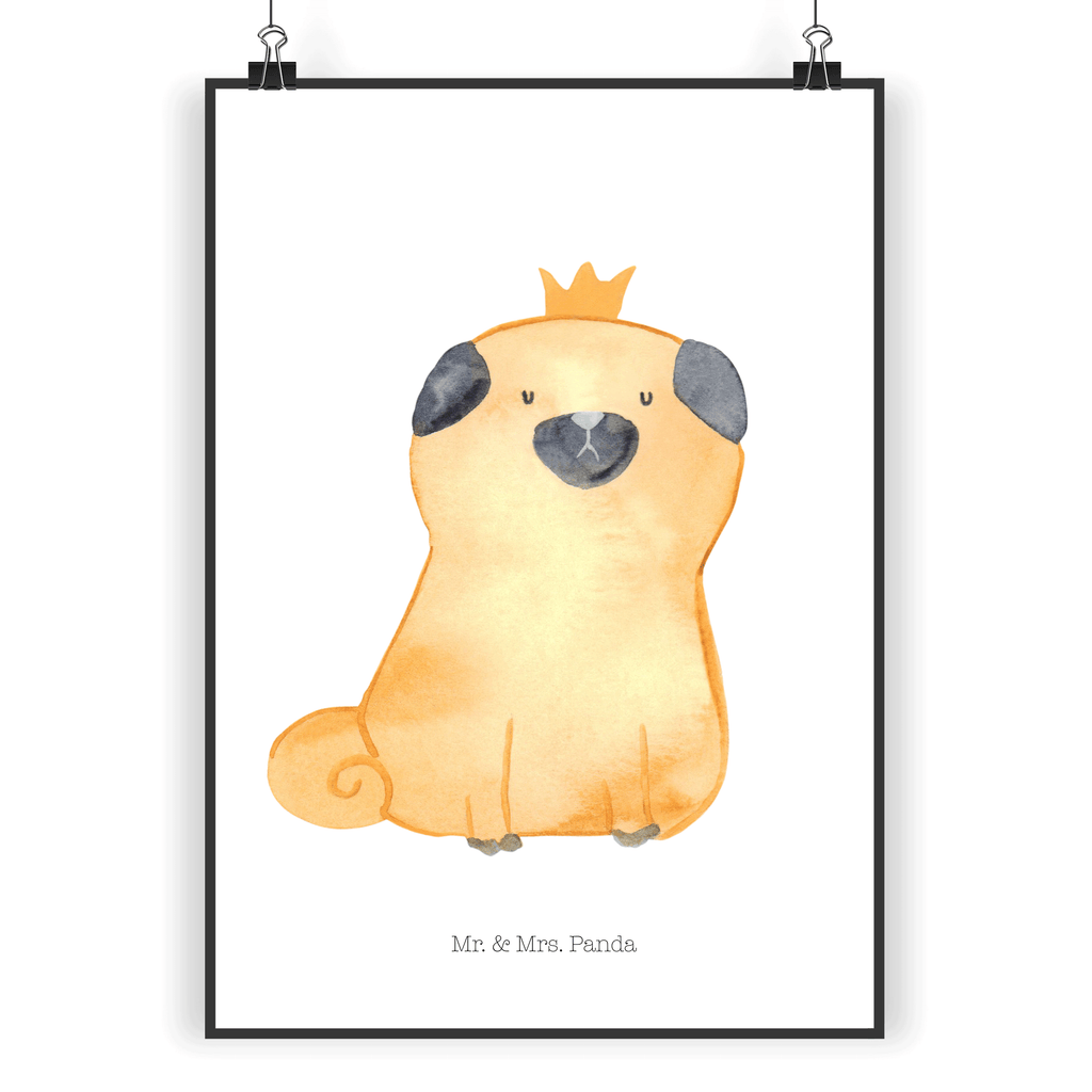 Poster Mops Krone Poster, Wandposter, Bild, Wanddeko, Küchenposter, Kinderposter, Wanddeko Bild, Raumdekoration, Wanddekoration, Handgemaltes Poster, Mr. & Mrs. Panda Poster, Designposter, Kunstdruck, Posterdruck, Hund, Hundemotiv, Haustier, Hunderasse, Tierliebhaber, Hundebesitzer, Sprüche, Mops, allergisch, kinderlos, Hausregel, Hundebesitzer. Spruch, lustig