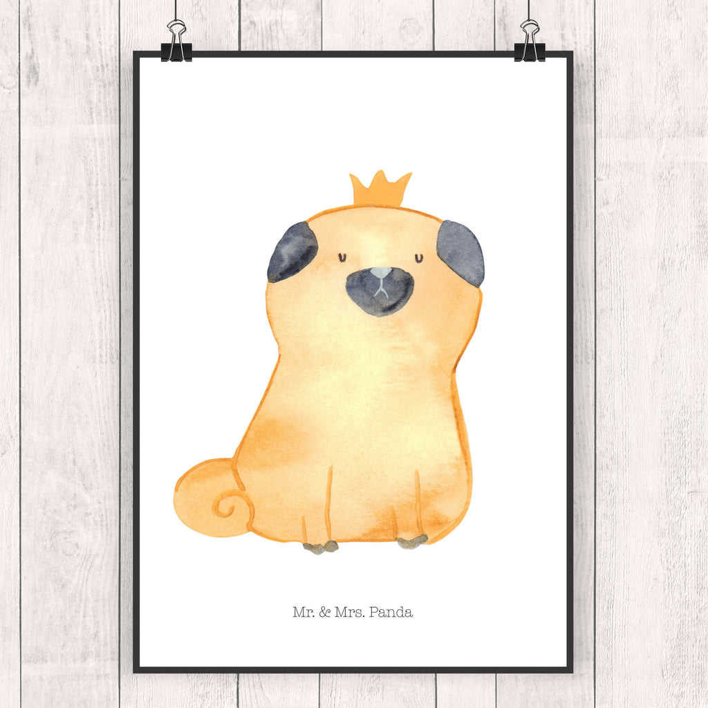 Poster Mops Krone Poster, Wandposter, Bild, Wanddeko, Küchenposter, Kinderposter, Wanddeko Bild, Raumdekoration, Wanddekoration, Handgemaltes Poster, Mr. & Mrs. Panda Poster, Designposter, Kunstdruck, Posterdruck, Hund, Hundemotiv, Haustier, Hunderasse, Tierliebhaber, Hundebesitzer, Sprüche, Mops, allergisch, kinderlos, Hausregel, Hundebesitzer. Spruch, lustig