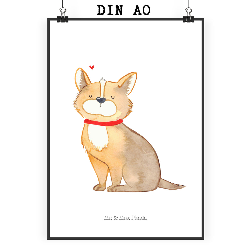 Poster Hundeglück Poster, Wandposter, Bild, Wanddeko, Küchenposter, Kinderposter, Wanddeko Bild, Raumdekoration, Wanddekoration, Handgemaltes Poster, Mr. & Mrs. Panda Poster, Designposter, Kunstdruck, Posterdruck, Hund, Hundemotiv, Haustier, Hunderasse, Tierliebhaber, Hundebesitzer, Sprüche, Corgie, Hundeliebe, Spruch, Hundemama, Liebe