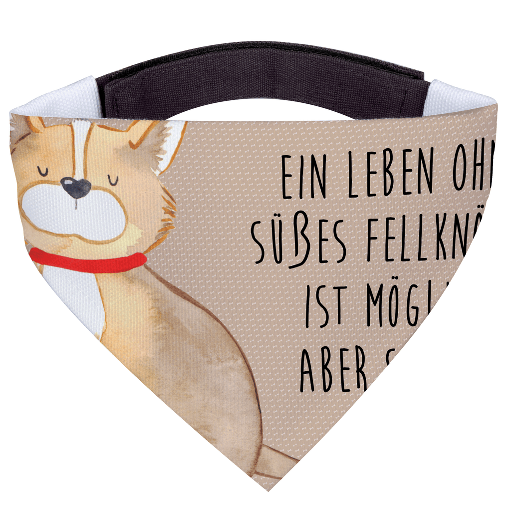 4428bfe3c63cf62307ab665fadf472d3