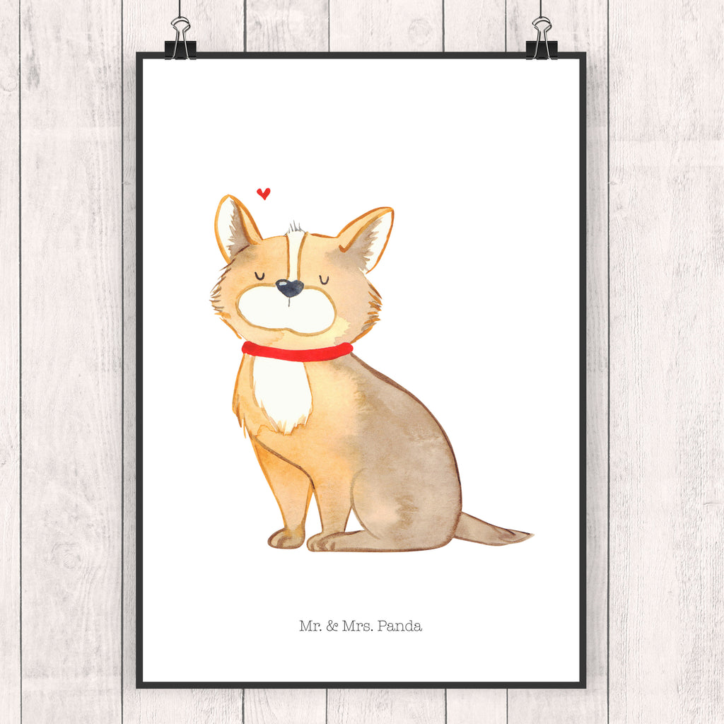 Poster Hundeglück Poster, Wandposter, Bild, Wanddeko, Küchenposter, Kinderposter, Wanddeko Bild, Raumdekoration, Wanddekoration, Handgemaltes Poster, Mr. & Mrs. Panda Poster, Designposter, Kunstdruck, Posterdruck, Hund, Hundemotiv, Haustier, Hunderasse, Tierliebhaber, Hundebesitzer, Sprüche, Corgie, Hundeliebe, Spruch, Hundemama, Liebe