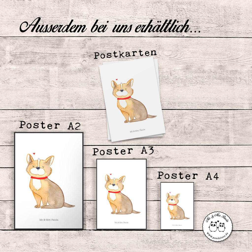 Poster Hundeglück Poster, Wandposter, Bild, Wanddeko, Küchenposter, Kinderposter, Wanddeko Bild, Raumdekoration, Wanddekoration, Handgemaltes Poster, Mr. & Mrs. Panda Poster, Designposter, Kunstdruck, Posterdruck, Hund, Hundemotiv, Haustier, Hunderasse, Tierliebhaber, Hundebesitzer, Sprüche, Corgie, Hundeliebe, Spruch, Hundemama, Liebe