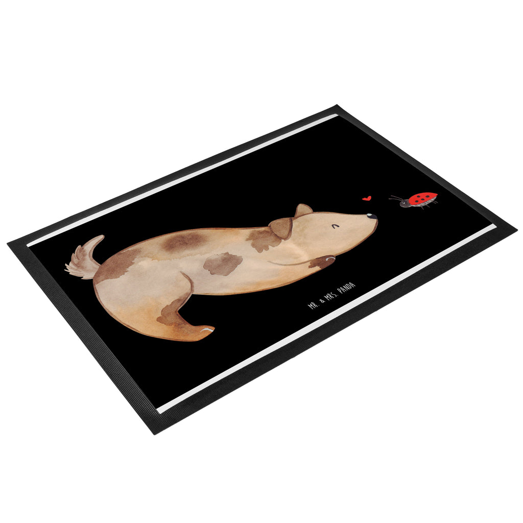 Fußmatte Hund Marienkäfer Hund, Hunde, Hundespruch, Sprüche, Marienkäfer, Mischling, Mischlinghund Türvorleger, Schmutzmatte, Fußabtreter, Matte, Schmutzfänger, Fußabstreifer, Schmutzfangmatte, Türmatte, Motivfußmatte,  Haustürmatte, Vorleger  Hund, Hundemotiv, Haustier, Hunderasse, Tierliebhaber, Hundebesitzer, Sprüche