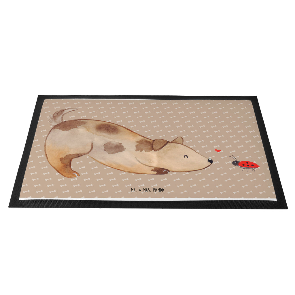 Fußmatte Hund Marienkäfer Hund, Hunde, Hundespruch, Sprüche, Marienkäfer, Mischling, Mischlinghund Türvorleger, Schmutzmatte, Fußabtreter, Matte, Schmutzfänger, Fußabstreifer, Schmutzfangmatte, Türmatte, Motivfußmatte,  Haustürmatte, Vorleger  Hund, Hundemotiv, Haustier, Hunderasse, Tierliebhaber, Hundebesitzer, Sprüche