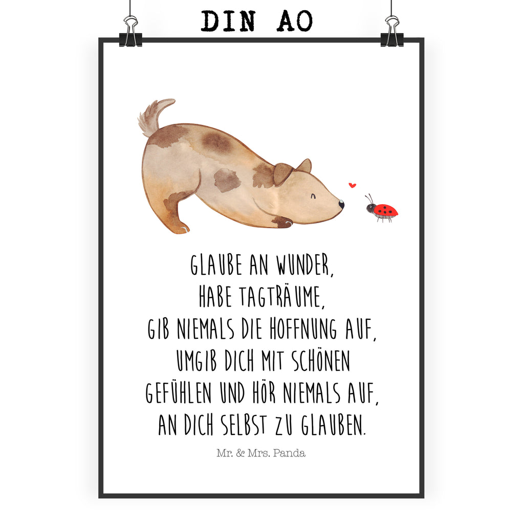 d86c3fa7dbf06e2ef1265d6605551004