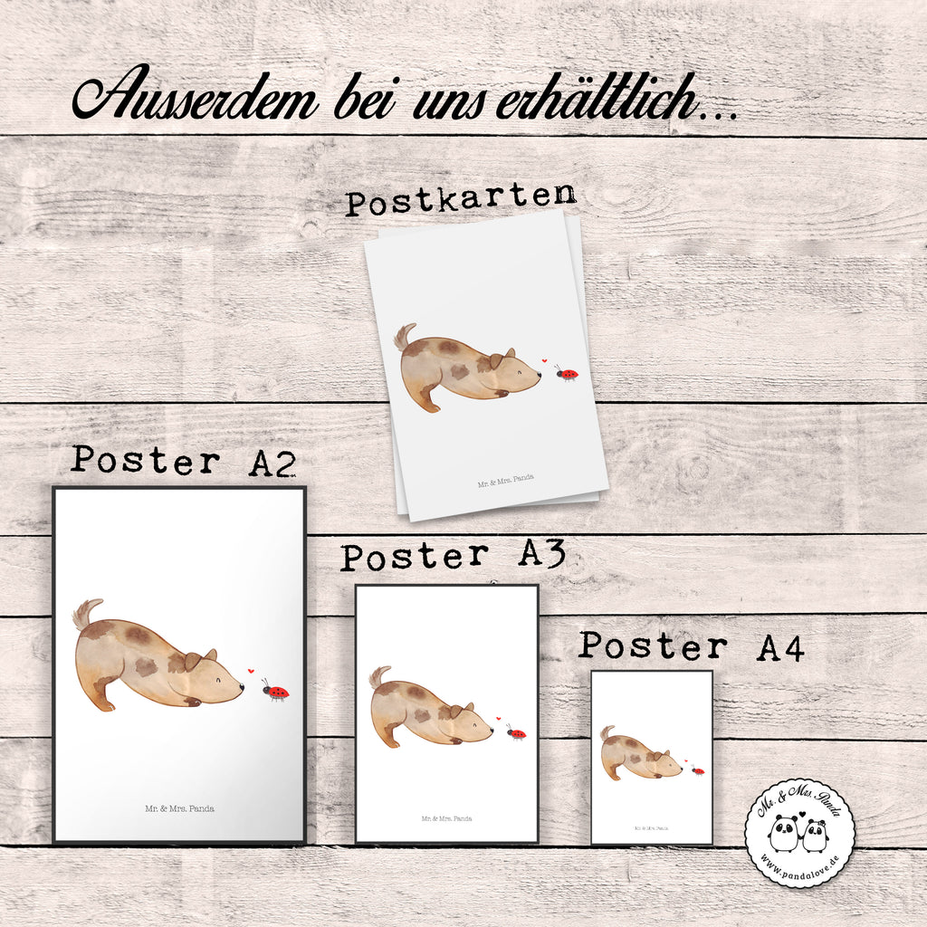 Poster Hund Marienkäfer Poster, Wandposter, Bild, Wanddeko, Küchenposter, Kinderposter, Wanddeko Bild, Raumdekoration, Wanddekoration, Handgemaltes Poster, Mr. & Mrs. Panda Poster, Designposter, Kunstdruck, Posterdruck, Hund, Hundemotiv, Haustier, Hunderasse, Tierliebhaber, Hundebesitzer, Sprüche, Hunde, Hundespruch, Marienkäfer, Mischling, Mischlinghund