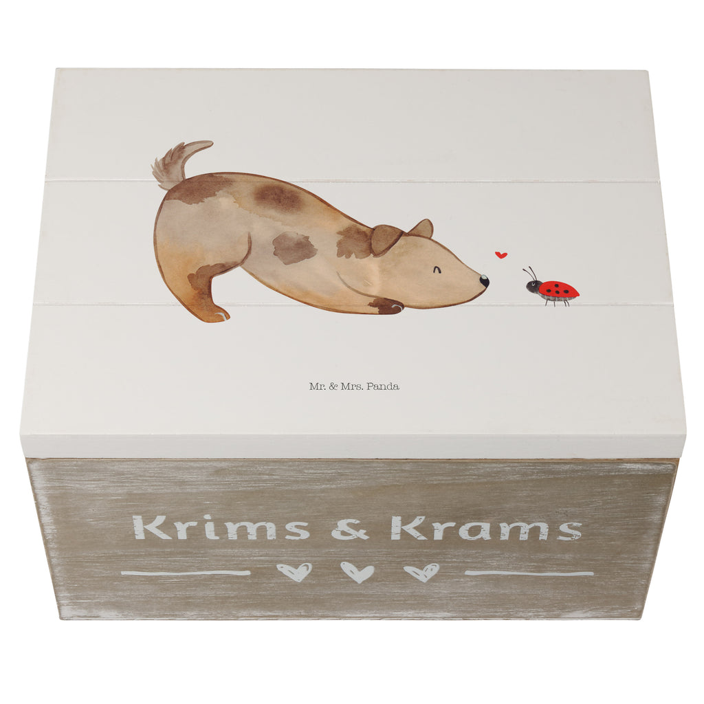 Holzkiste Hund Marienkäfer Holzkiste, Kiste, Schatzkiste, Truhe, Schatulle, XXL, Erinnerungsbox, Erinnerungskiste, Dekokiste, Aufbewahrungsbox, Hund, Hundemotiv, Haustier, Hunderasse, Tierliebhaber, Hundebesitzer, Sprüche, Hunde, Hundespruch, Marienkäfer, Mischling, Mischlinghund