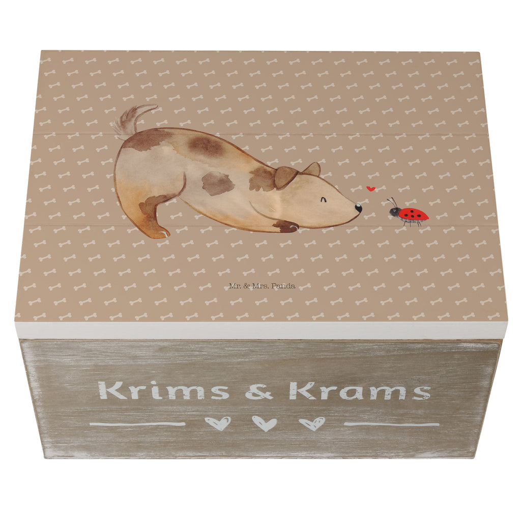 Holzkiste Hund Marienkäfer Holzkiste, Kiste, Schatzkiste, Truhe, Schatulle, XXL, Erinnerungsbox, Erinnerungskiste, Dekokiste, Aufbewahrungsbox, Hund, Hundemotiv, Haustier, Hunderasse, Tierliebhaber, Hundebesitzer, Sprüche, Hunde, Hundespruch, Marienkäfer, Mischling, Mischlinghund