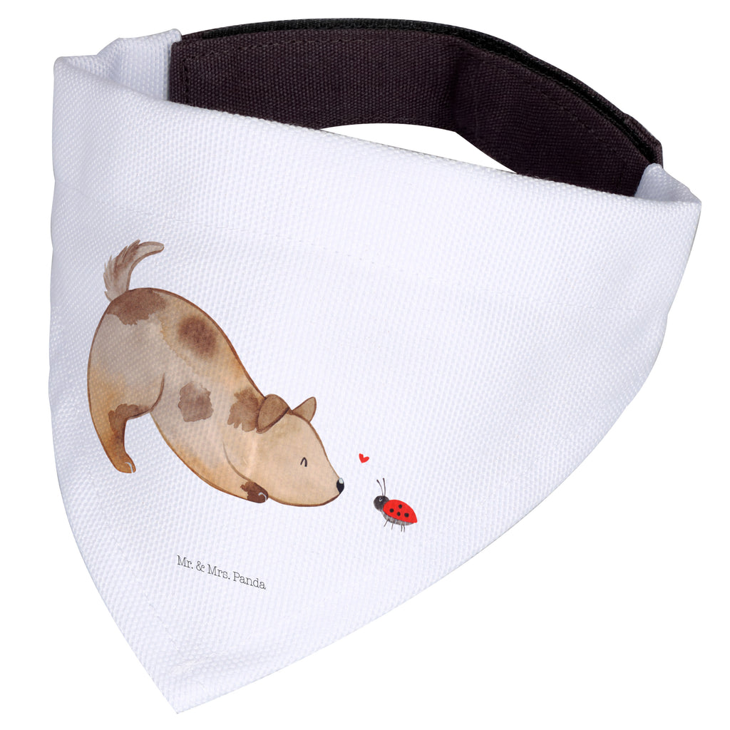 Hundehalstuch L Hund Marienkäfer Hundehalstuch, Halstuch, Hunde, Tuch, groß, große Hunde, Hund, Hundemotiv, Haustier, Hunderasse, Tierliebhaber, Hundebesitzer, Sprüche, Hundespruch, Marienkäfer, Mischling, Mischlinghund