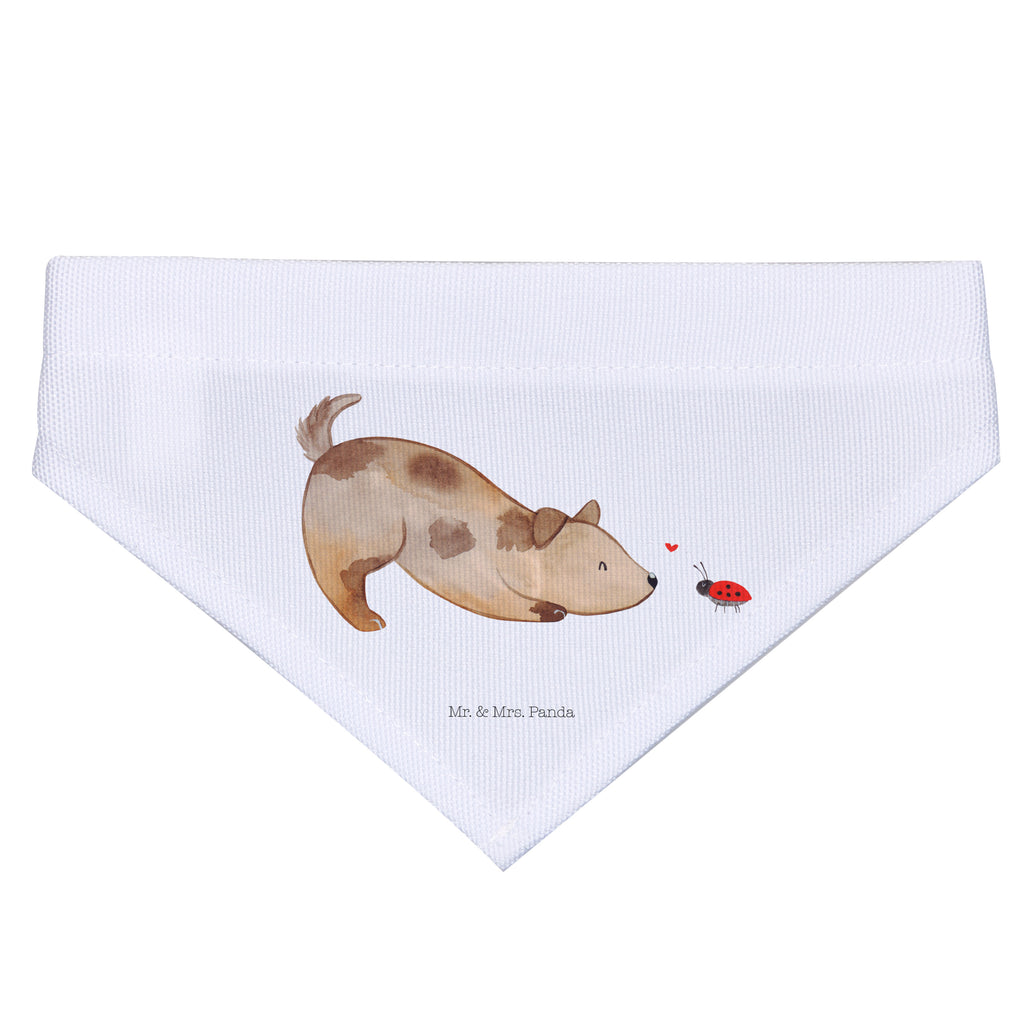 Hundehalstuch L Hund Marienkäfer Hundehalstuch, Halstuch, Hunde, Tuch, groß, große Hunde, Hund, Hundemotiv, Haustier, Hunderasse, Tierliebhaber, Hundebesitzer, Sprüche, Hundespruch, Marienkäfer, Mischling, Mischlinghund