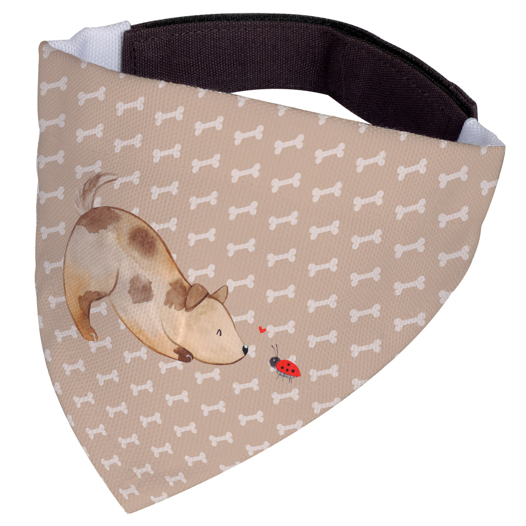 Hundehalstuch L Hund Marienkäfer Hundehalstuch, Halstuch, Hunde, Tuch, groß, große Hunde, Hund, Hundemotiv, Haustier, Hunderasse, Tierliebhaber, Hundebesitzer, Sprüche, Hundespruch, Marienkäfer, Mischling, Mischlinghund