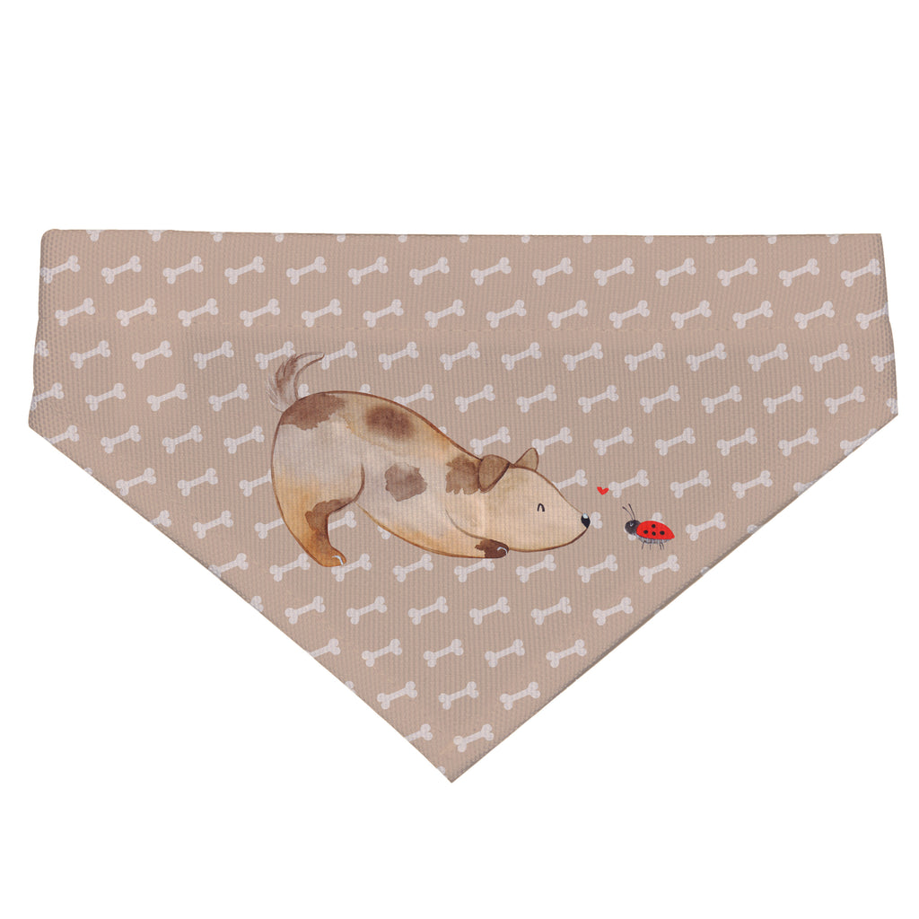 Hundehalstuch L Hund Marienkäfer Hundehalstuch, Halstuch, Hunde, Tuch, groß, große Hunde, Hund, Hundemotiv, Haustier, Hunderasse, Tierliebhaber, Hundebesitzer, Sprüche, Hundespruch, Marienkäfer, Mischling, Mischlinghund