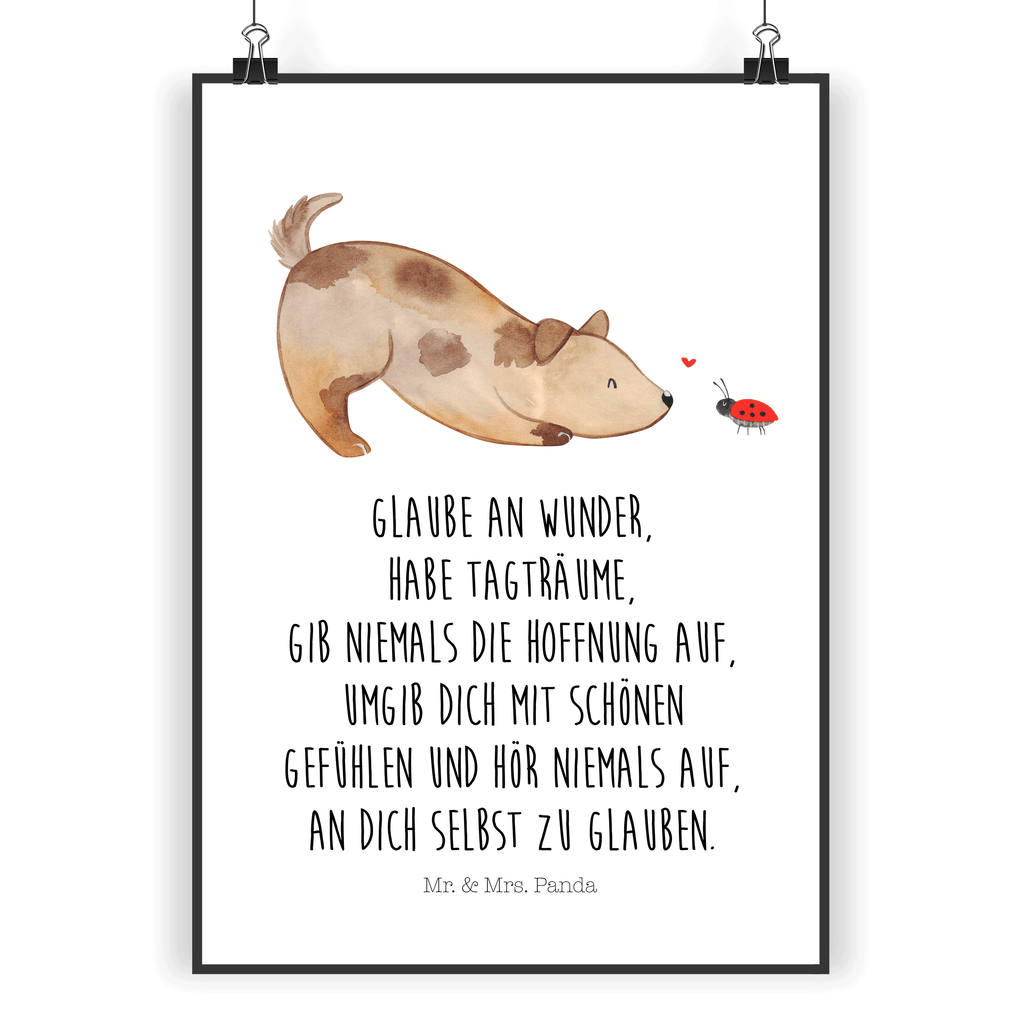 Poster Hund Marienkäfer Poster, Wandposter, Bild, Wanddeko, Küchenposter, Kinderposter, Wanddeko Bild, Raumdekoration, Wanddekoration, Handgemaltes Poster, Mr. & Mrs. Panda Poster, Designposter, Kunstdruck, Posterdruck, Hund, Hundemotiv, Haustier, Hunderasse, Tierliebhaber, Hundebesitzer, Sprüche, Hunde, Hundespruch, Marienkäfer, Mischling, Mischlinghund