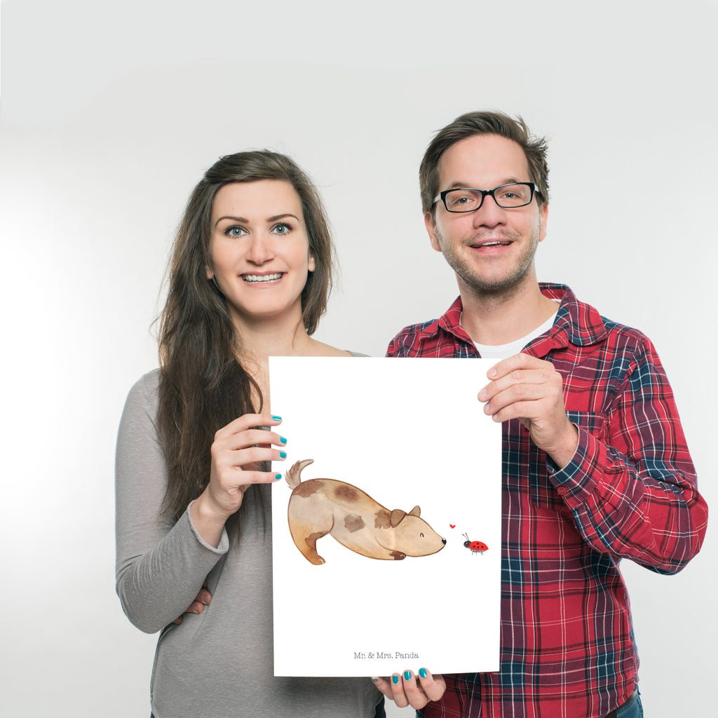 Poster Hund Marienkäfer Poster, Wandposter, Bild, Wanddeko, Küchenposter, Kinderposter, Wanddeko Bild, Raumdekoration, Wanddekoration, Handgemaltes Poster, Mr. & Mrs. Panda Poster, Designposter, Kunstdruck, Posterdruck, Hund, Hundemotiv, Haustier, Hunderasse, Tierliebhaber, Hundebesitzer, Sprüche, Hunde, Hundespruch, Marienkäfer, Mischling, Mischlinghund