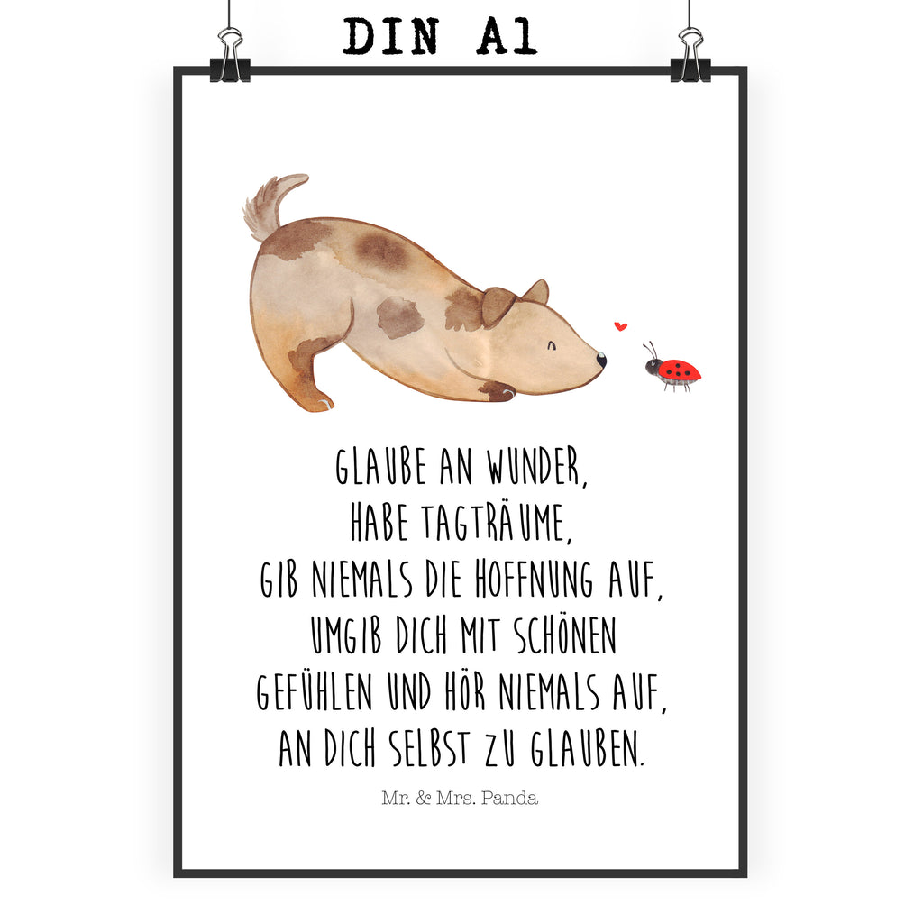 Poster Hund Marienkäfer Poster, Wandposter, Bild, Wanddeko, Küchenposter, Kinderposter, Wanddeko Bild, Raumdekoration, Wanddekoration, Handgemaltes Poster, Mr. & Mrs. Panda Poster, Designposter, Kunstdruck, Posterdruck, Hund, Hundemotiv, Haustier, Hunderasse, Tierliebhaber, Hundebesitzer, Sprüche, Hunde, Hundespruch, Marienkäfer, Mischling, Mischlinghund