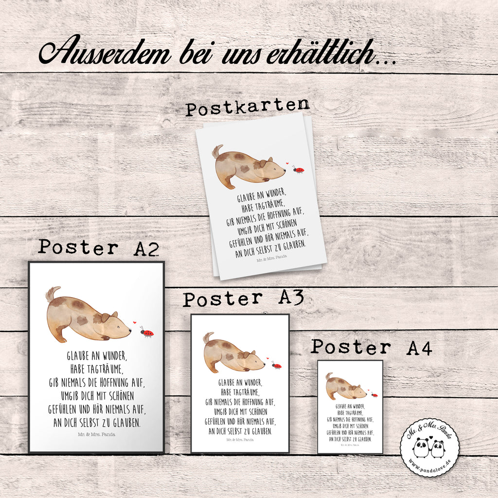Poster Hund Marienkäfer Poster, Wandposter, Bild, Wanddeko, Küchenposter, Kinderposter, Wanddeko Bild, Raumdekoration, Wanddekoration, Handgemaltes Poster, Mr. & Mrs. Panda Poster, Designposter, Kunstdruck, Posterdruck, Hund, Hundemotiv, Haustier, Hunderasse, Tierliebhaber, Hundebesitzer, Sprüche, Hunde, Hundespruch, Marienkäfer, Mischling, Mischlinghund