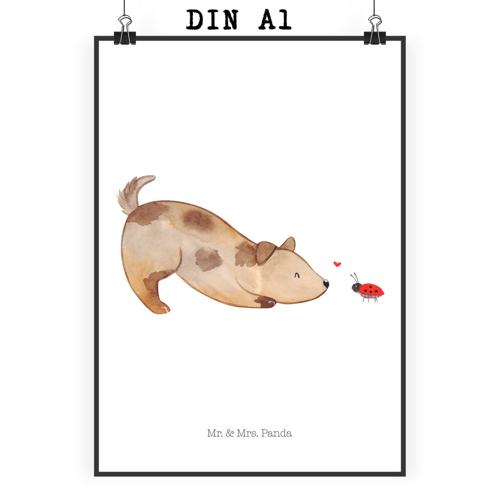 Poster Hund Marienkäfer Poster, Wandposter, Bild, Wanddeko, Küchenposter, Kinderposter, Wanddeko Bild, Raumdekoration, Wanddekoration, Handgemaltes Poster, Mr. & Mrs. Panda Poster, Designposter, Kunstdruck, Posterdruck, Hund, Hundemotiv, Haustier, Hunderasse, Tierliebhaber, Hundebesitzer, Sprüche, Hunde, Hundespruch, Marienkäfer, Mischling, Mischlinghund
