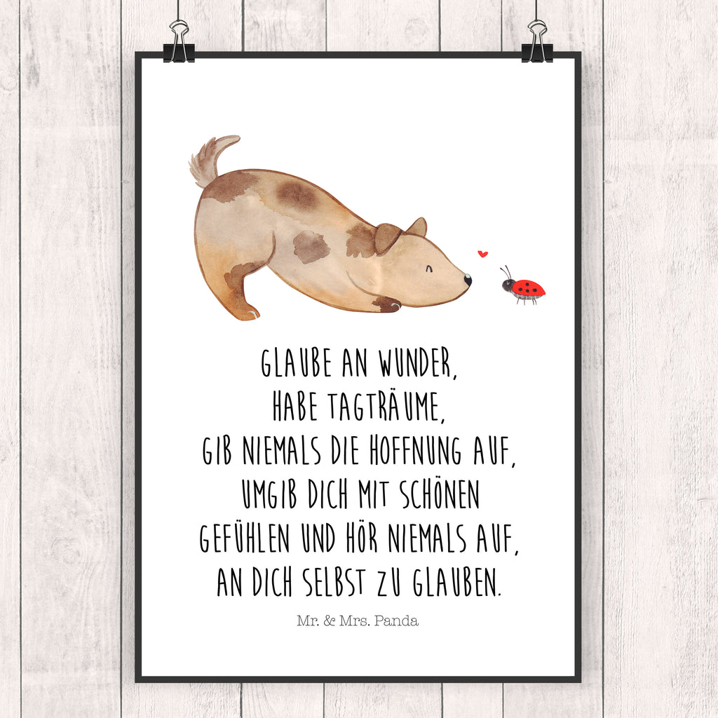 Poster Hund Marienkäfer Poster, Wandposter, Bild, Wanddeko, Küchenposter, Kinderposter, Wanddeko Bild, Raumdekoration, Wanddekoration, Handgemaltes Poster, Mr. & Mrs. Panda Poster, Designposter, Kunstdruck, Posterdruck, Hund, Hundemotiv, Haustier, Hunderasse, Tierliebhaber, Hundebesitzer, Sprüche, Hunde, Hundespruch, Marienkäfer, Mischling, Mischlinghund
