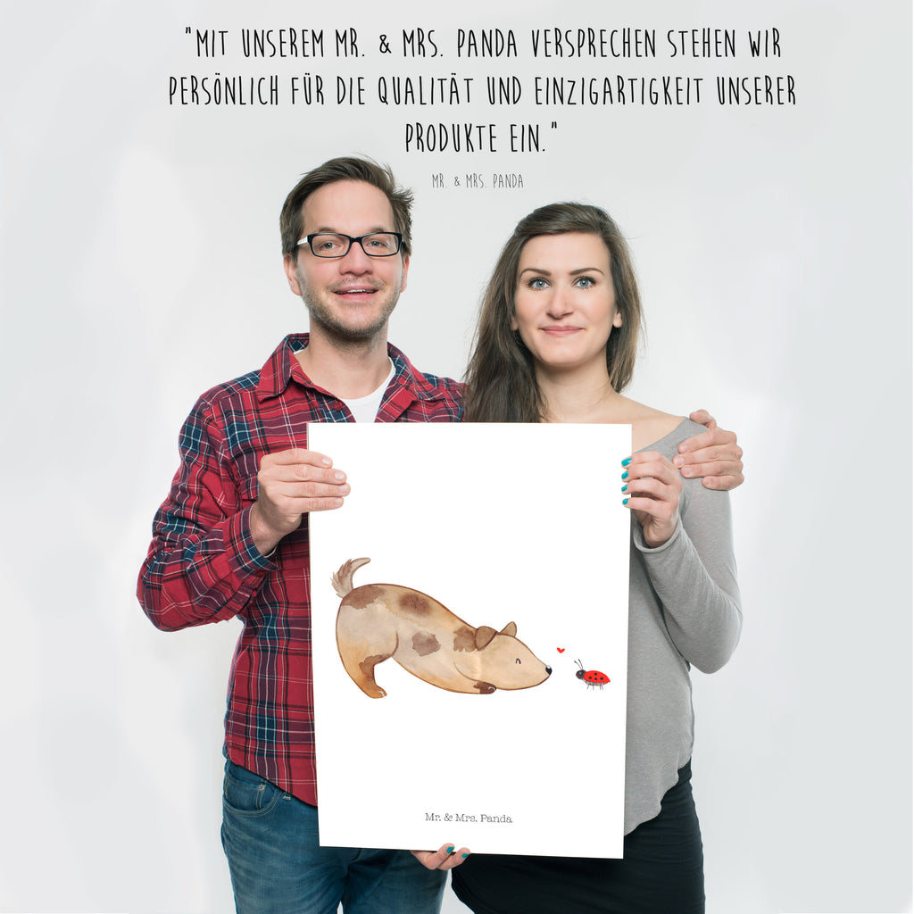 Poster Hund Marienkäfer Poster, Wandposter, Bild, Wanddeko, Küchenposter, Kinderposter, Wanddeko Bild, Raumdekoration, Wanddekoration, Handgemaltes Poster, Mr. & Mrs. Panda Poster, Designposter, Kunstdruck, Posterdruck, Hund, Hundemotiv, Haustier, Hunderasse, Tierliebhaber, Hundebesitzer, Sprüche, Hunde, Hundespruch, Marienkäfer, Mischling, Mischlinghund