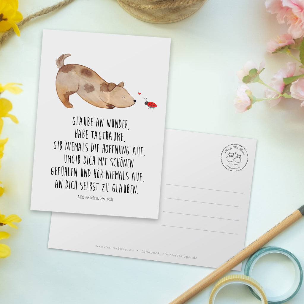 Postkarte Hund Marienkäfer Geschenkkarte, Grußkarte, Karte, Einladung, Ansichtskarte, Geburtstagskarte, Einladungskarte, Dankeskarte, Hund, Hundemotiv, Haustier, Hunderasse, Tierliebhaber, Hundebesitzer, Sprüche, Hunde, Hundespruch, Marienkäfer, Mischling, Mischlinghund