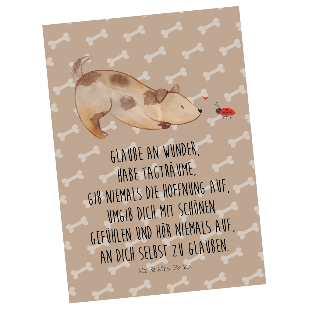 Postkarte Hund Marienkäfer Geschenkkarte, Grußkarte, Karte, Einladung, Ansichtskarte, Geburtstagskarte, Einladungskarte, Dankeskarte, Hund, Hundemotiv, Haustier, Hunderasse, Tierliebhaber, Hundebesitzer, Sprüche, Hunde, Hundespruch, Marienkäfer, Mischling, Mischlinghund