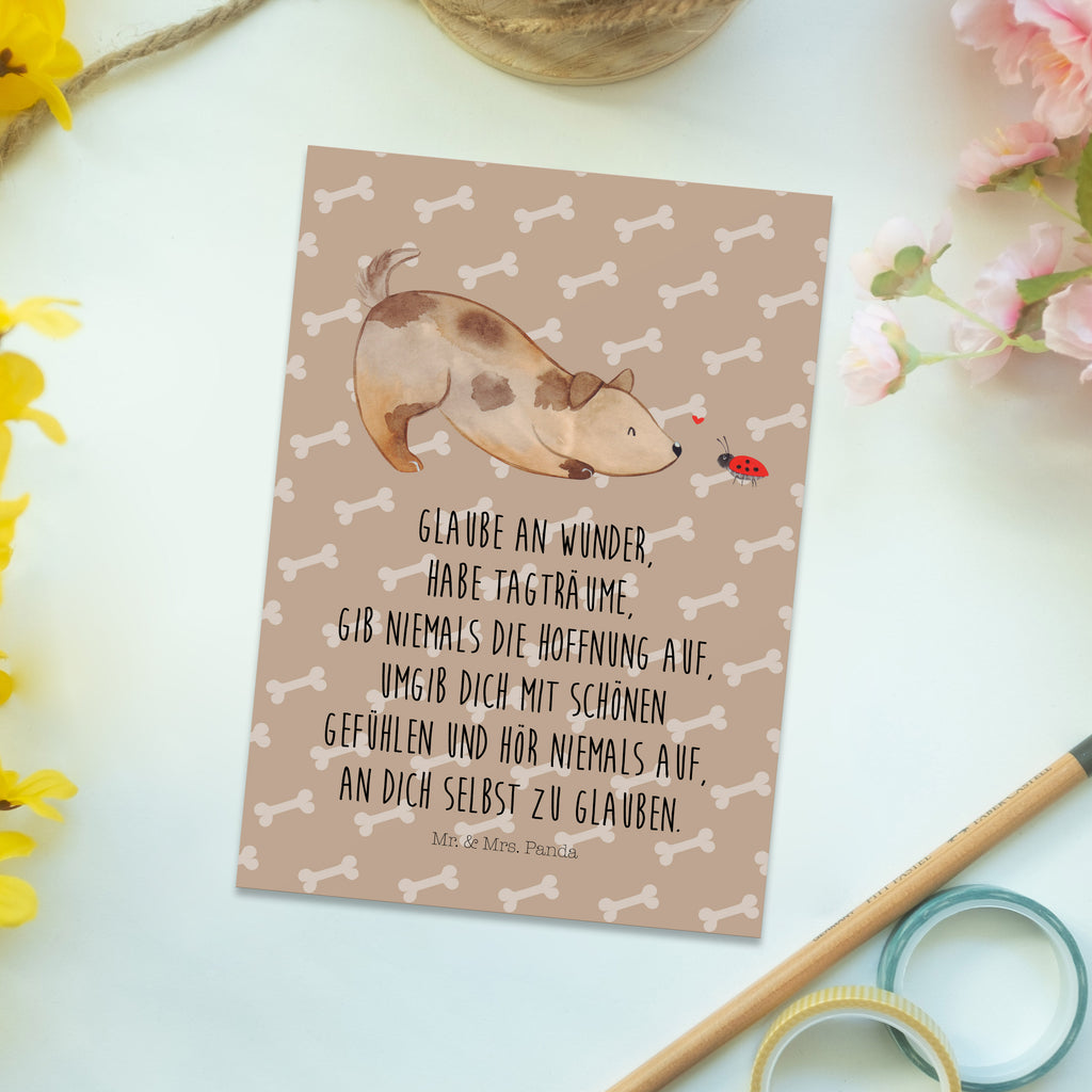 Postkarte Hund Marienkäfer Geschenkkarte, Grußkarte, Karte, Einladung, Ansichtskarte, Geburtstagskarte, Einladungskarte, Dankeskarte, Hund, Hundemotiv, Haustier, Hunderasse, Tierliebhaber, Hundebesitzer, Sprüche, Hunde, Hundespruch, Marienkäfer, Mischling, Mischlinghund
