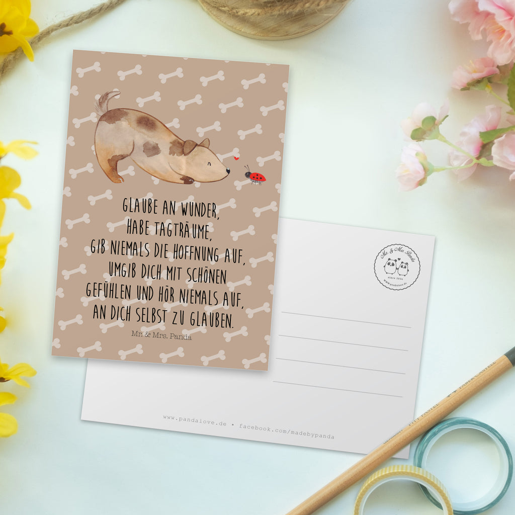 Postkarte Hund Marienkäfer Geschenkkarte, Grußkarte, Karte, Einladung, Ansichtskarte, Geburtstagskarte, Einladungskarte, Dankeskarte, Hund, Hundemotiv, Haustier, Hunderasse, Tierliebhaber, Hundebesitzer, Sprüche, Hunde, Hundespruch, Marienkäfer, Mischling, Mischlinghund