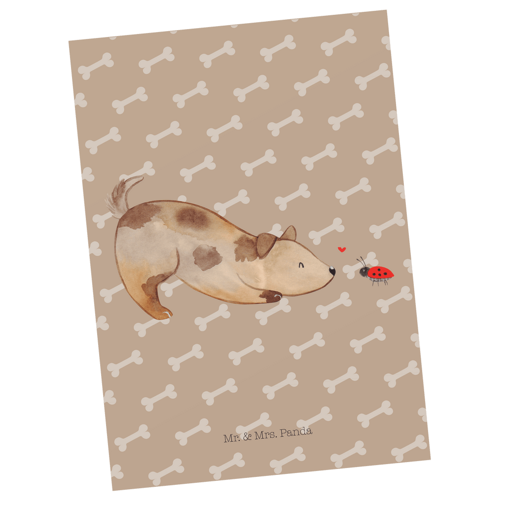 Postkarte Hund Marienkäfer Geschenkkarte, Grußkarte, Karte, Einladung, Ansichtskarte, Geburtstagskarte, Einladungskarte, Dankeskarte, Hund, Hundemotiv, Haustier, Hunderasse, Tierliebhaber, Hundebesitzer, Sprüche, Hunde, Hundespruch, Marienkäfer, Mischling, Mischlinghund