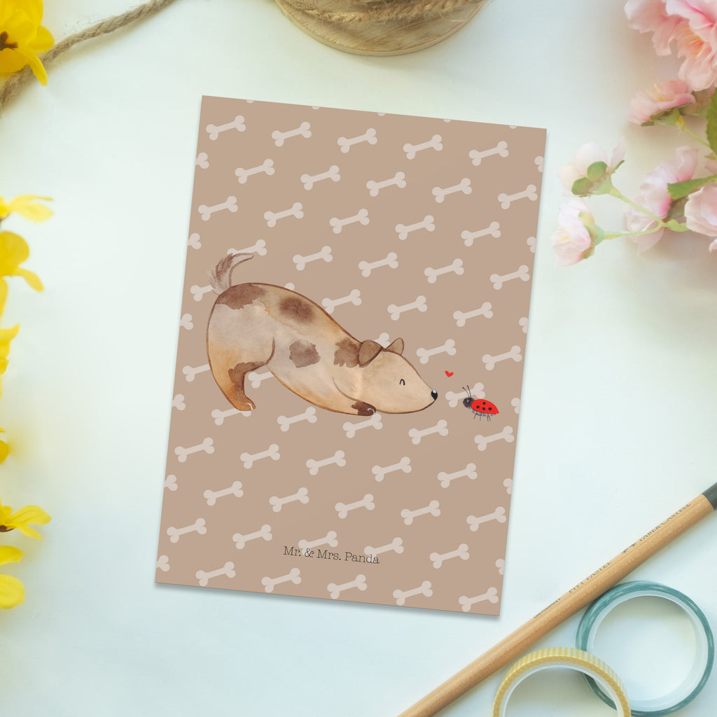 Postkarte Hund Marienkäfer Geschenkkarte, Grußkarte, Karte, Einladung, Ansichtskarte, Geburtstagskarte, Einladungskarte, Dankeskarte, Hund, Hundemotiv, Haustier, Hunderasse, Tierliebhaber, Hundebesitzer, Sprüche, Hunde, Hundespruch, Marienkäfer, Mischling, Mischlinghund