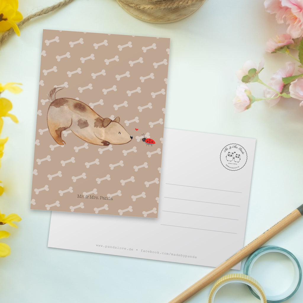 Postkarte Hund Marienkäfer Geschenkkarte, Grußkarte, Karte, Einladung, Ansichtskarte, Geburtstagskarte, Einladungskarte, Dankeskarte, Hund, Hundemotiv, Haustier, Hunderasse, Tierliebhaber, Hundebesitzer, Sprüche, Hunde, Hundespruch, Marienkäfer, Mischling, Mischlinghund