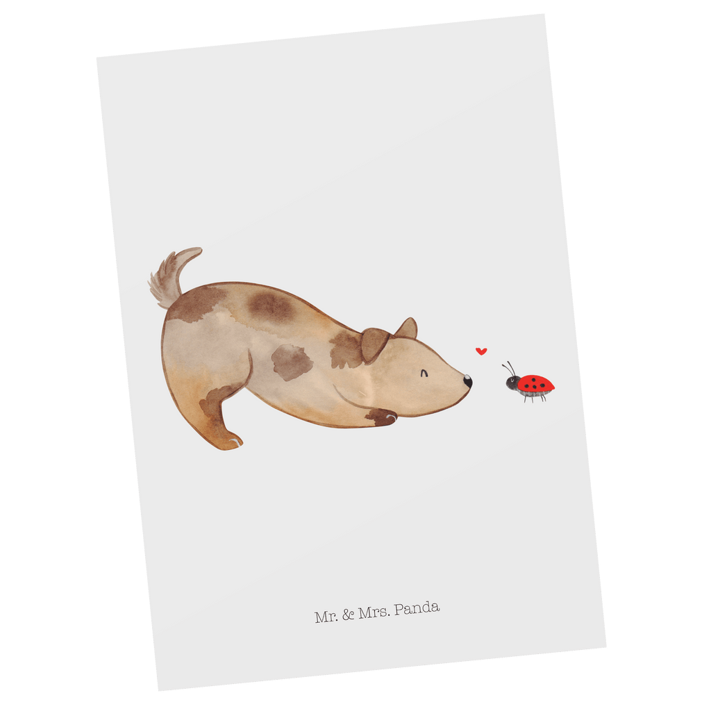 Postkarte Hund Marienkäfer Geschenkkarte, Grußkarte, Karte, Einladung, Ansichtskarte, Geburtstagskarte, Einladungskarte, Dankeskarte, Hund, Hundemotiv, Haustier, Hunderasse, Tierliebhaber, Hundebesitzer, Sprüche, Hunde, Hundespruch, Marienkäfer, Mischling, Mischlinghund