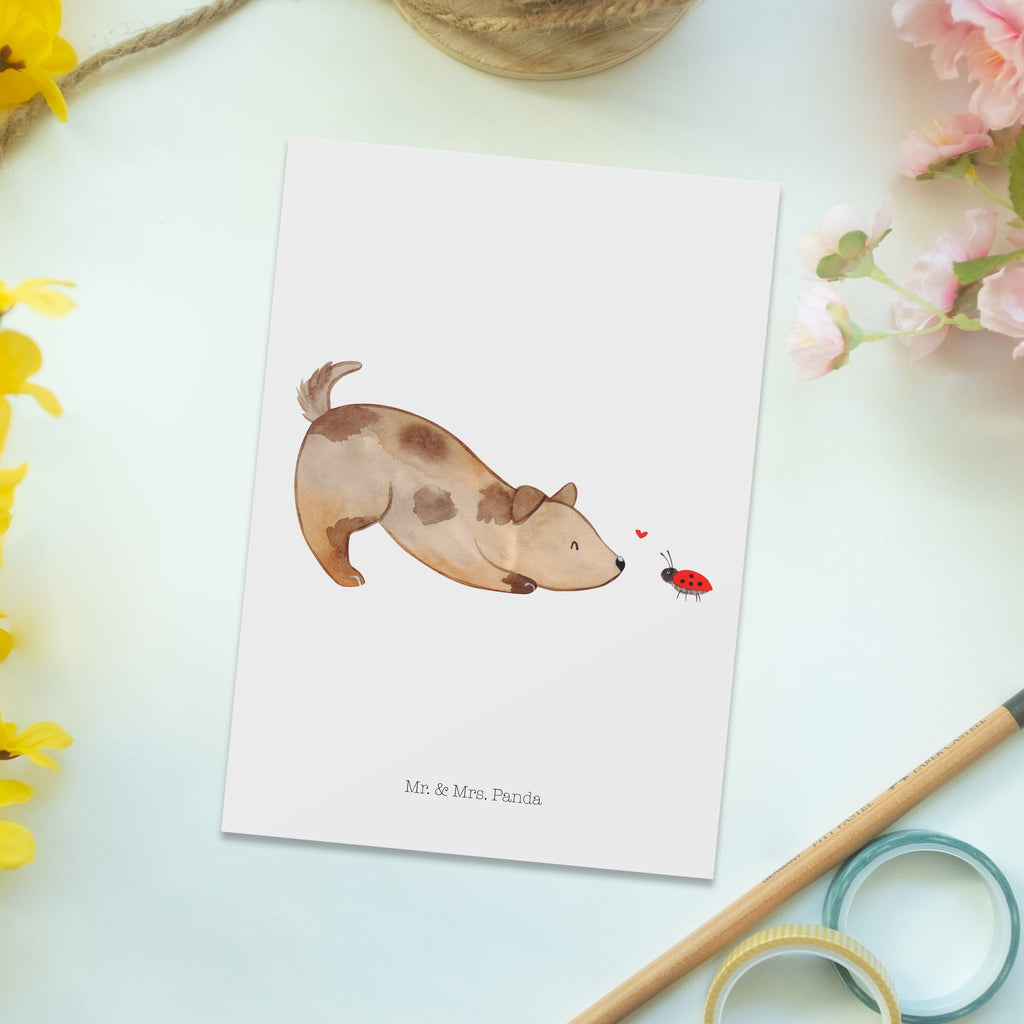 Postkarte Hund Marienkäfer Geschenkkarte, Grußkarte, Karte, Einladung, Ansichtskarte, Geburtstagskarte, Einladungskarte, Dankeskarte, Hund, Hundemotiv, Haustier, Hunderasse, Tierliebhaber, Hundebesitzer, Sprüche, Hunde, Hundespruch, Marienkäfer, Mischling, Mischlinghund