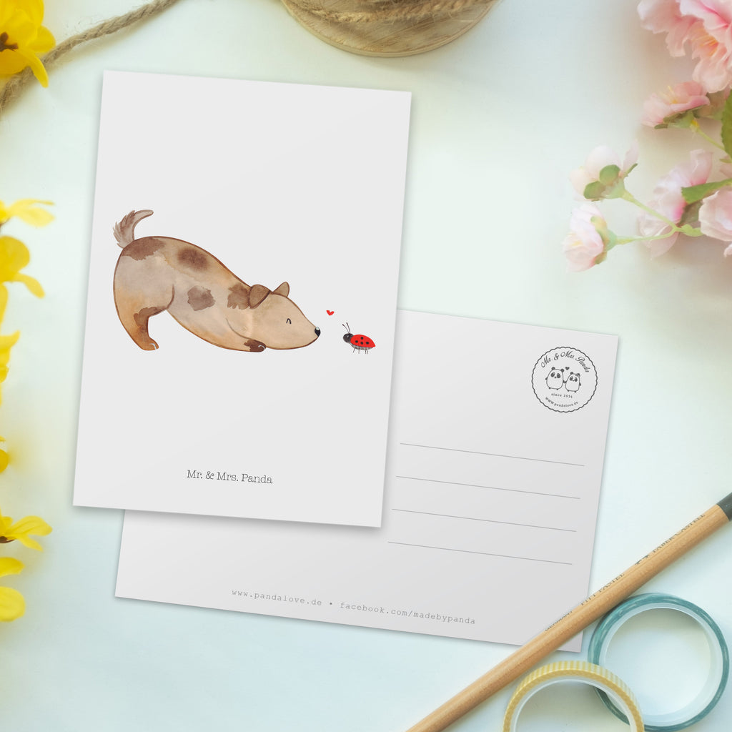 Postkarte Hund Marienkäfer Geschenkkarte, Grußkarte, Karte, Einladung, Ansichtskarte, Geburtstagskarte, Einladungskarte, Dankeskarte, Hund, Hundemotiv, Haustier, Hunderasse, Tierliebhaber, Hundebesitzer, Sprüche, Hunde, Hundespruch, Marienkäfer, Mischling, Mischlinghund