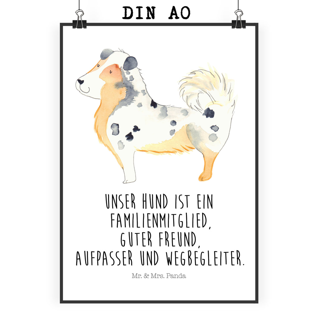Poster Australien Shepherd Poster, Wandposter, Bild, Wanddeko, Küchenposter, Kinderposter, Wanddeko Bild, Raumdekoration, Wanddekoration, Handgemaltes Poster, Mr. & Mrs. Panda Poster, Designposter, Kunstdruck, Posterdruck, Hund, Hundemotiv, Haustier, Hunderasse, Tierliebhaber, Hundebesitzer, Sprüche, Australien Shepherd, Shepherd, Hundeliebe, Familienhund, Spruch