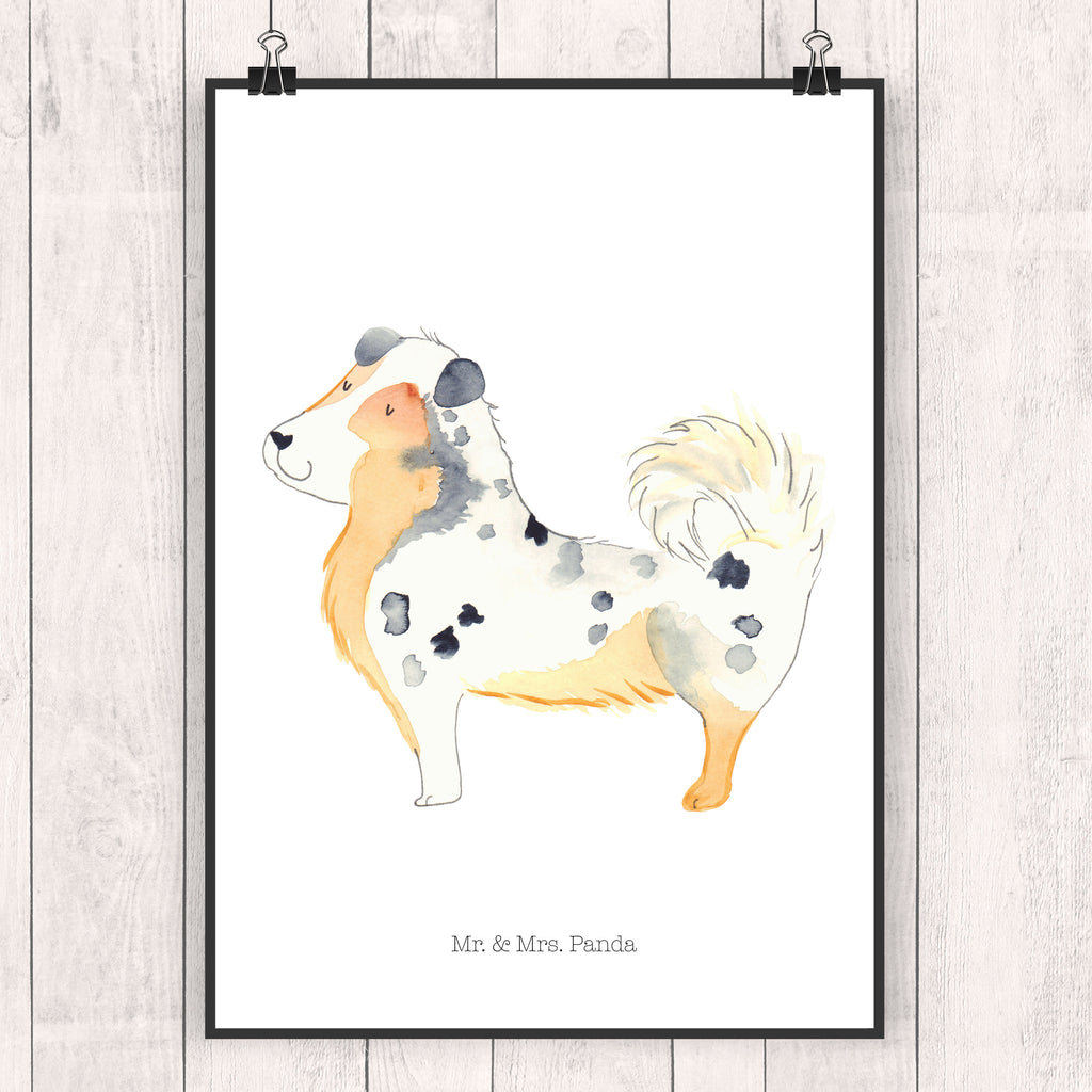 Poster Australien Shepherd Poster, Wandposter, Bild, Wanddeko, Küchenposter, Kinderposter, Wanddeko Bild, Raumdekoration, Wanddekoration, Handgemaltes Poster, Mr. & Mrs. Panda Poster, Designposter, Kunstdruck, Posterdruck, Hund, Hundemotiv, Haustier, Hunderasse, Tierliebhaber, Hundebesitzer, Sprüche, Australien Shepherd, Shepherd, Hundeliebe, Familienhund, Spruch