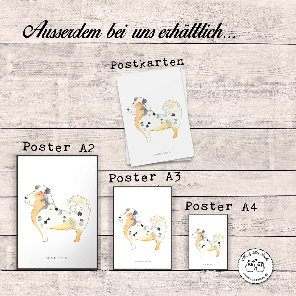 Poster Australien Shepherd Poster, Wandposter, Bild, Wanddeko, Küchenposter, Kinderposter, Wanddeko Bild, Raumdekoration, Wanddekoration, Handgemaltes Poster, Mr. & Mrs. Panda Poster, Designposter, Kunstdruck, Posterdruck, Hund, Hundemotiv, Haustier, Hunderasse, Tierliebhaber, Hundebesitzer, Sprüche, Australien Shepherd, Shepherd, Hundeliebe, Familienhund, Spruch