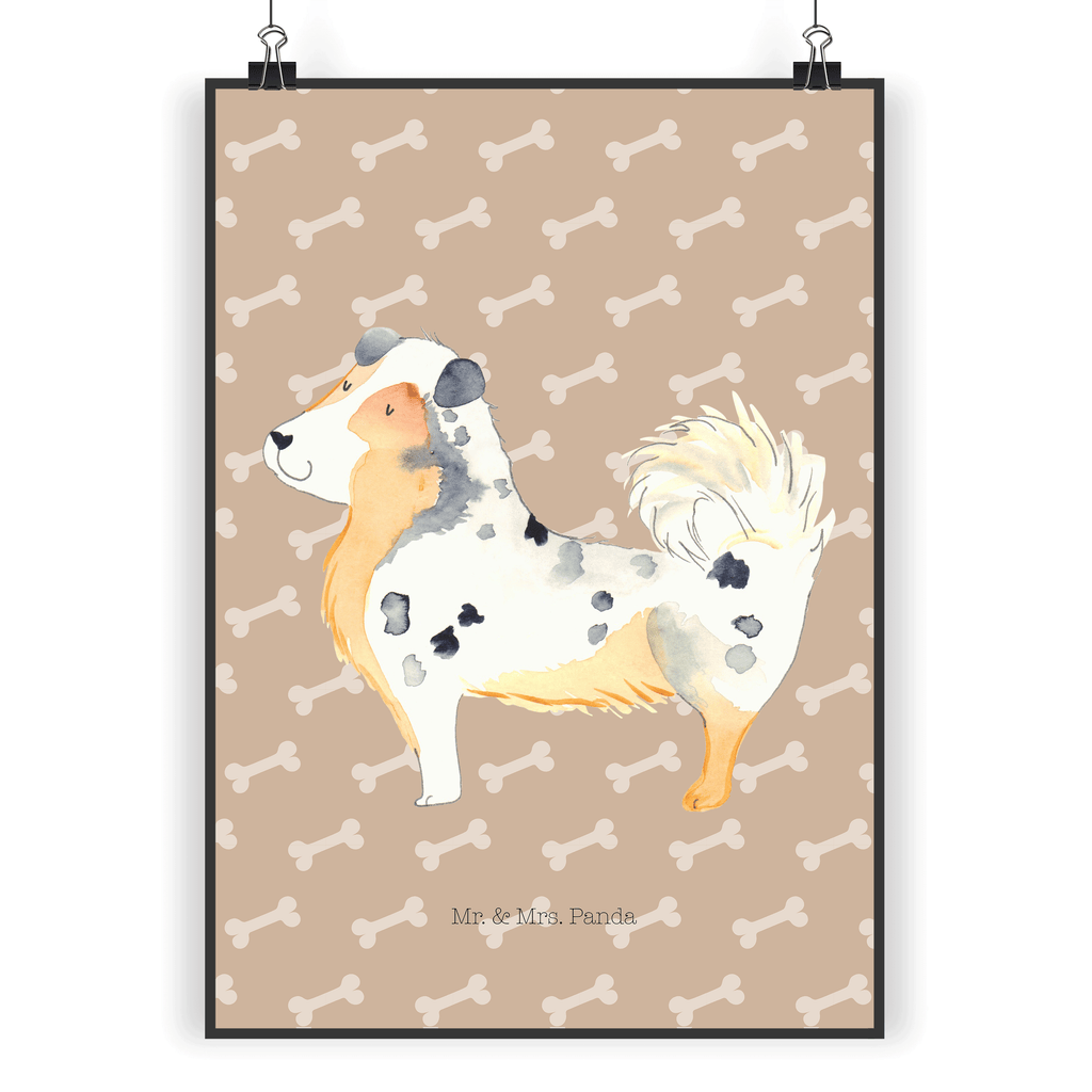 Poster Australien Shepherd Poster, Wandposter, Bild, Wanddeko, Küchenposter, Kinderposter, Wanddeko Bild, Raumdekoration, Wanddekoration, Handgemaltes Poster, Mr. & Mrs. Panda Poster, Designposter, Kunstdruck, Posterdruck, Hund, Hundemotiv, Haustier, Hunderasse, Tierliebhaber, Hundebesitzer, Sprüche, Australien Shepherd, Shepherd, Hundeliebe, Familienhund, Spruch