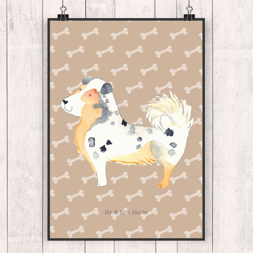 Poster Australien Shepherd Poster, Wandposter, Bild, Wanddeko, Küchenposter, Kinderposter, Wanddeko Bild, Raumdekoration, Wanddekoration, Handgemaltes Poster, Mr. & Mrs. Panda Poster, Designposter, Kunstdruck, Posterdruck, Hund, Hundemotiv, Haustier, Hunderasse, Tierliebhaber, Hundebesitzer, Sprüche, Australien Shepherd, Shepherd, Hundeliebe, Familienhund, Spruch