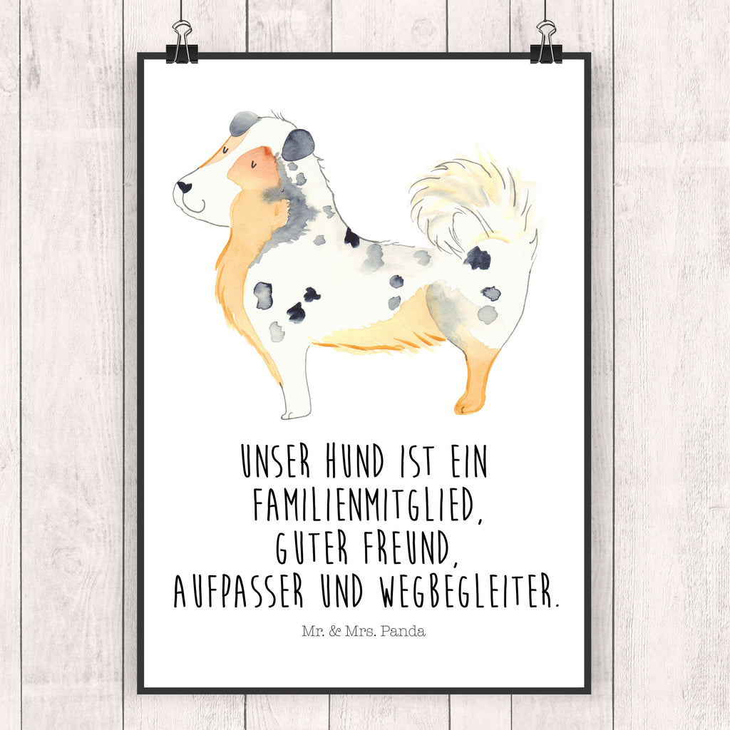 Poster Australien Shepherd Poster, Wandposter, Bild, Wanddeko, Küchenposter, Kinderposter, Wanddeko Bild, Raumdekoration, Wanddekoration, Handgemaltes Poster, Mr. & Mrs. Panda Poster, Designposter, Kunstdruck, Posterdruck, Hund, Hundemotiv, Haustier, Hunderasse, Tierliebhaber, Hundebesitzer, Sprüche, Australien Shepherd, Shepherd, Hundeliebe, Familienhund, Spruch
