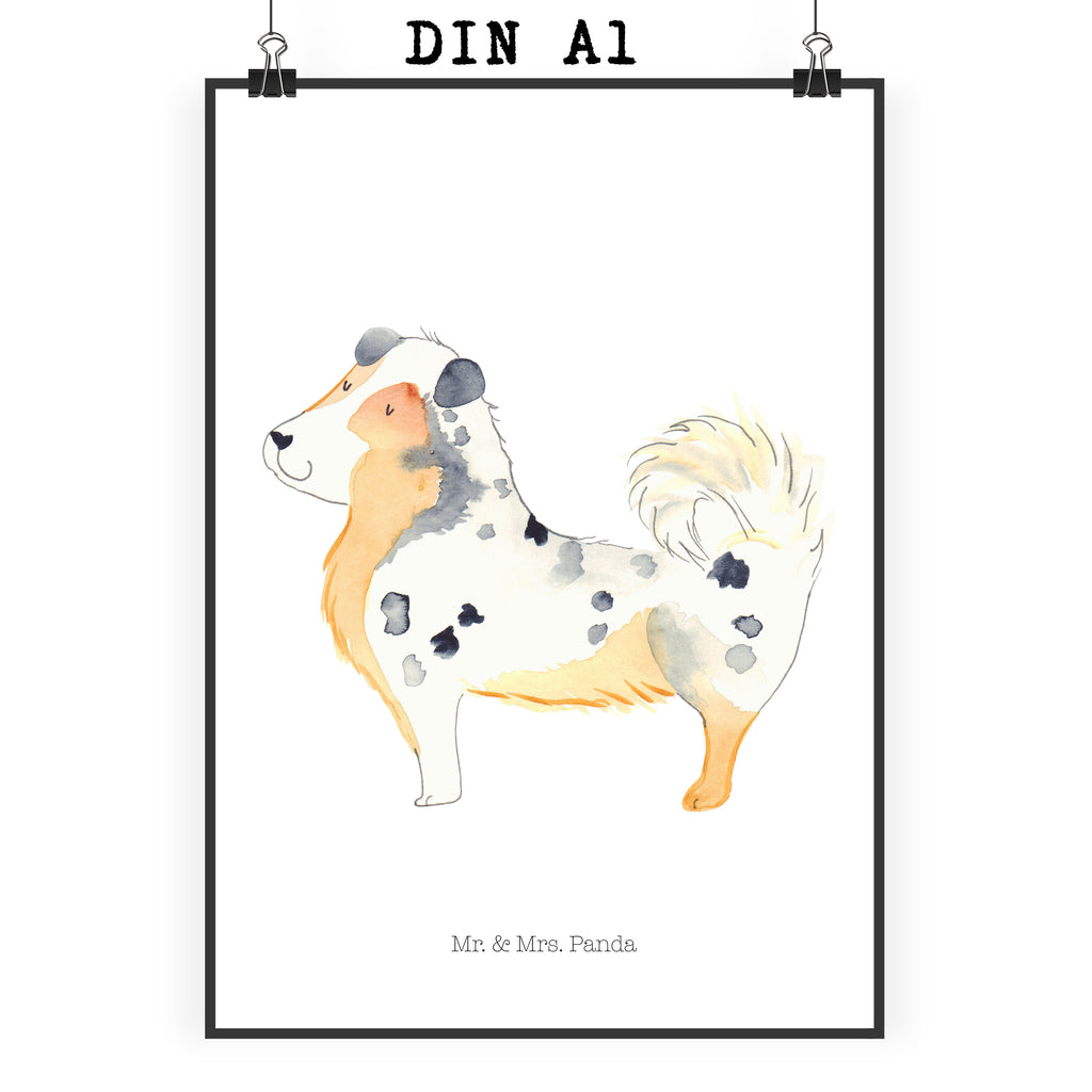Poster Australien Shepherd Poster, Wandposter, Bild, Wanddeko, Küchenposter, Kinderposter, Wanddeko Bild, Raumdekoration, Wanddekoration, Handgemaltes Poster, Mr. & Mrs. Panda Poster, Designposter, Kunstdruck, Posterdruck, Hund, Hundemotiv, Haustier, Hunderasse, Tierliebhaber, Hundebesitzer, Sprüche, Australien Shepherd, Shepherd, Hundeliebe, Familienhund, Spruch