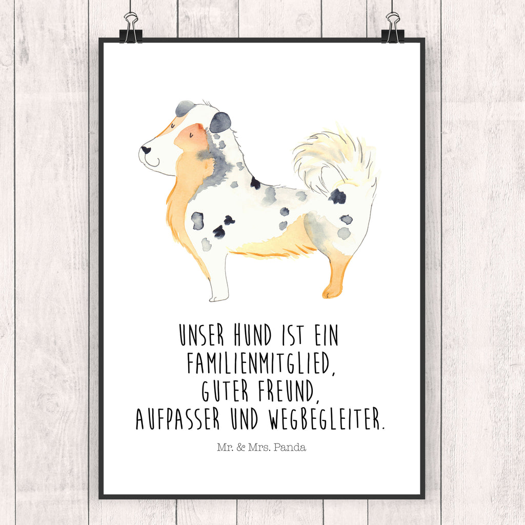 Poster Australien Shepherd Poster, Wandposter, Bild, Wanddeko, Küchenposter, Kinderposter, Wanddeko Bild, Raumdekoration, Wanddekoration, Handgemaltes Poster, Mr. & Mrs. Panda Poster, Designposter, Kunstdruck, Posterdruck, Hund, Hundemotiv, Haustier, Hunderasse, Tierliebhaber, Hundebesitzer, Sprüche, Australien Shepherd, Shepherd, Hundeliebe, Familienhund, Spruch