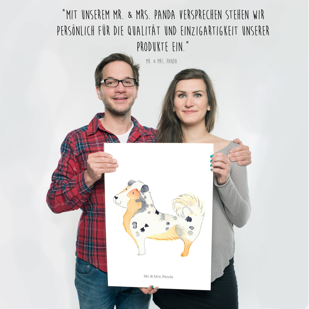 Poster Australien Shepherd Poster, Wandposter, Bild, Wanddeko, Küchenposter, Kinderposter, Wanddeko Bild, Raumdekoration, Wanddekoration, Handgemaltes Poster, Mr. & Mrs. Panda Poster, Designposter, Kunstdruck, Posterdruck, Hund, Hundemotiv, Haustier, Hunderasse, Tierliebhaber, Hundebesitzer, Sprüche, Australien Shepherd, Shepherd, Hundeliebe, Familienhund, Spruch