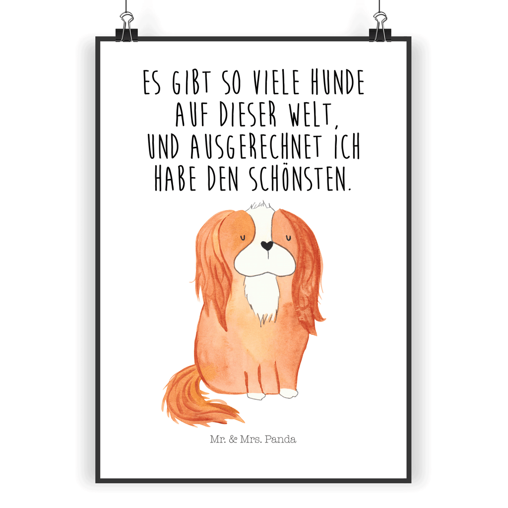Poster Cavalier King Charles Spaniel Poster, Wandposter, Bild, Wanddeko, Küchenposter, Kinderposter, Wanddeko Bild, Raumdekoration, Wanddekoration, Handgemaltes Poster, Mr. & Mrs. Panda Poster, Designposter, Kunstdruck, Posterdruck, Hund, Hundemotiv, Haustier, Hunderasse, Tierliebhaber, Hundebesitzer, Sprüche, Cavalier King Charles Spaniel, Cockerspaniel, Spaniel, Spruch, schönster Hund