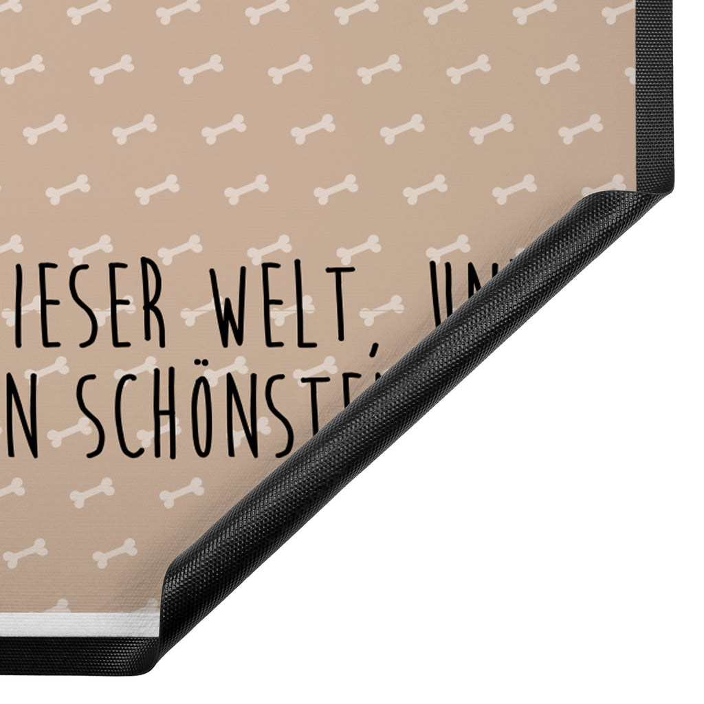 Fußmatte Cavalier King Charles Spaniel Cavalier King Charles Spaniel, Hund, Cockerspaniel, Spaniel, Spruch, Sprüche, schönster Hund Türvorleger, Schmutzmatte, Fußabtreter, Matte, Schmutzfänger, Fußabstreifer, Schmutzfangmatte, Türmatte, Motivfußmatte,  Haustürmatte, Vorleger  Hund, Hundemotiv, Haustier, Hunderasse, Tierliebhaber, Hundebesitzer, Sprüche