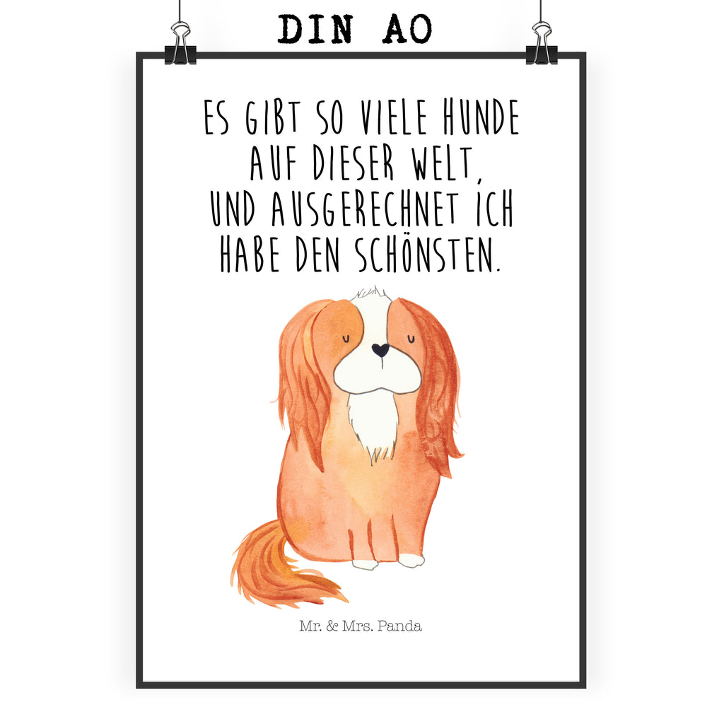 Poster Cavalier King Charles Spaniel Poster, Wandposter, Bild, Wanddeko, Küchenposter, Kinderposter, Wanddeko Bild, Raumdekoration, Wanddekoration, Handgemaltes Poster, Mr. & Mrs. Panda Poster, Designposter, Kunstdruck, Posterdruck, Hund, Hundemotiv, Haustier, Hunderasse, Tierliebhaber, Hundebesitzer, Sprüche, Cavalier King Charles Spaniel, Cockerspaniel, Spaniel, Spruch, schönster Hund