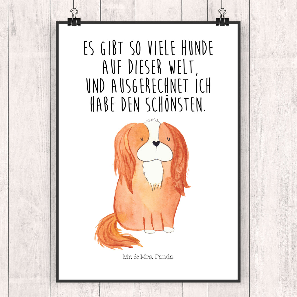 Poster Cavalier King Charles Spaniel Poster, Wandposter, Bild, Wanddeko, Küchenposter, Kinderposter, Wanddeko Bild, Raumdekoration, Wanddekoration, Handgemaltes Poster, Mr. & Mrs. Panda Poster, Designposter, Kunstdruck, Posterdruck, Hund, Hundemotiv, Haustier, Hunderasse, Tierliebhaber, Hundebesitzer, Sprüche, Cavalier King Charles Spaniel, Cockerspaniel, Spaniel, Spruch, schönster Hund